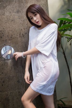 孤岛飞鹰